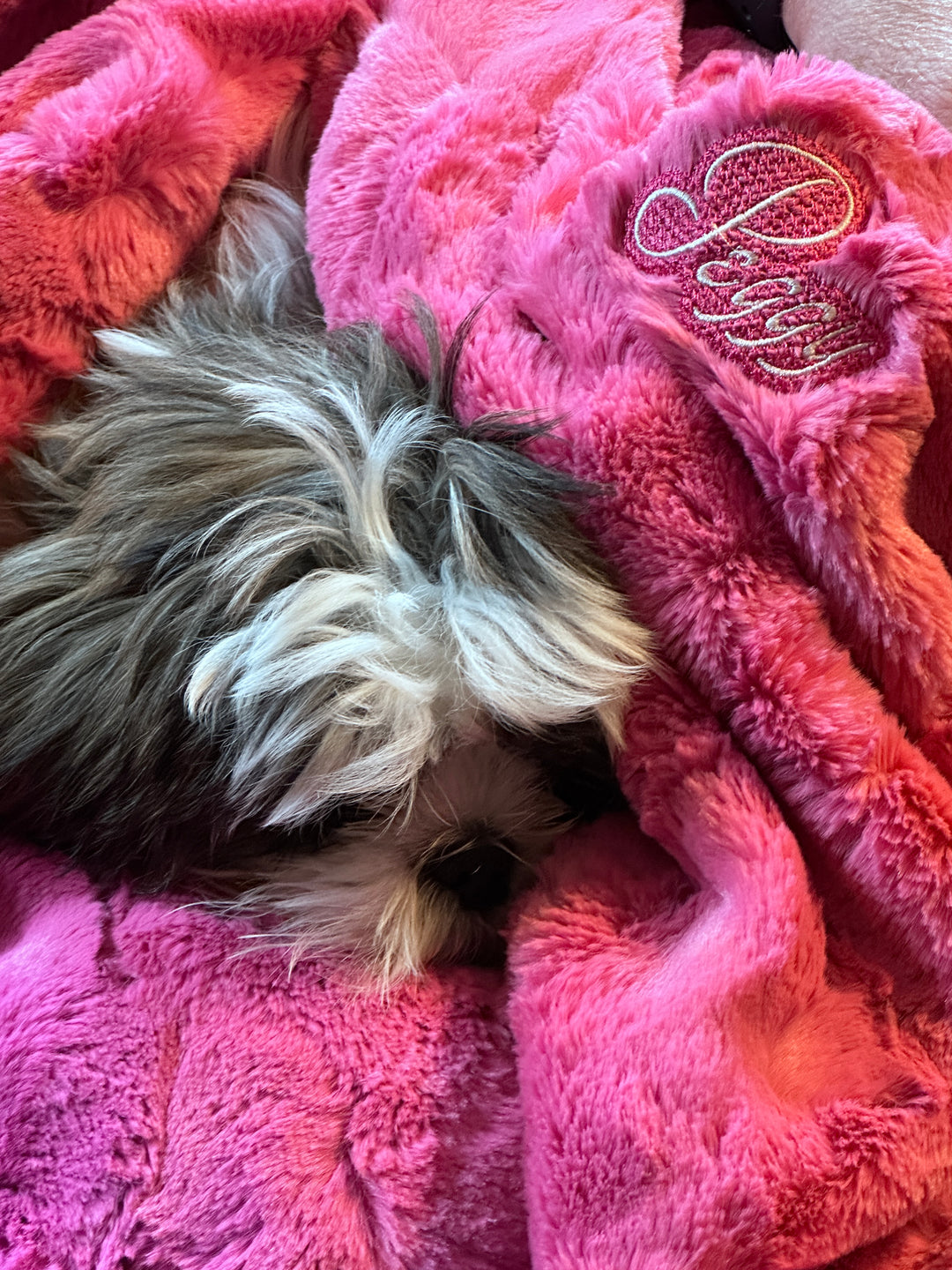 Custom Puppy Snuggle Blanket