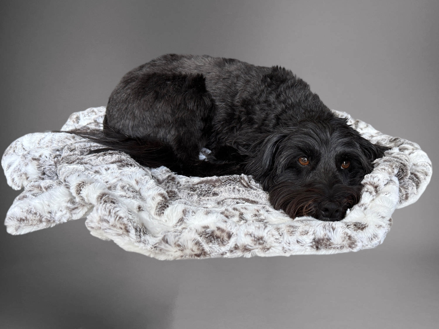 Custom Puppy Snuggle