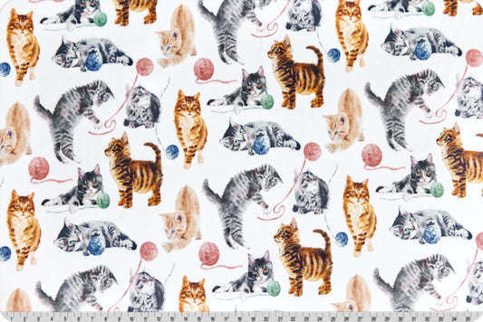 Cat Nip Toddler Snuggle  Blanket