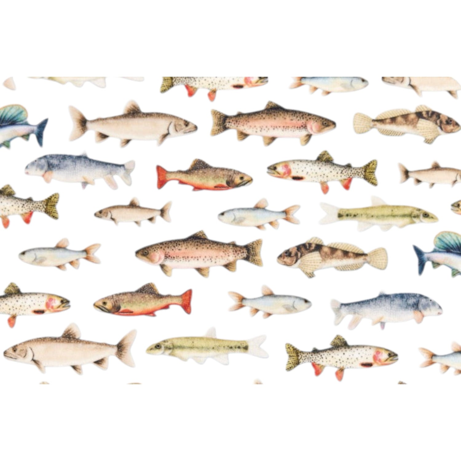 Little Freshwater Friends Snuggle Blanket